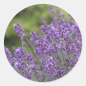 Sjabloon Sticker vullen - Gepersonaliseerd (Voorkant)