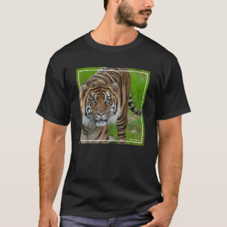 sjabloon t-shirt