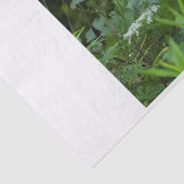 sjabloon tissuepapier (Detail)
