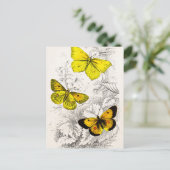 Sjabloon van 1800 Geel Sinaasappel Butterflies Briefkaart (Staand voorkant)