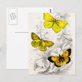 Sjabloon van 1800 Geel Sinaasappel Butterflies Briefkaart (Voorkant / Achterkant)