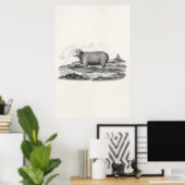  Sjabloon van 1800 Merino Sheep Ewe Lamb Poster (Thuiskantoor)