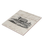  Sjabloon van 1800 Merino Sheep Ewe Lamb Tegeltje (Zijkant)