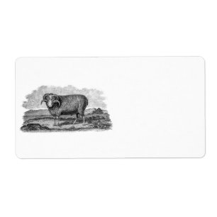 Sjabloon van 1800 Merino Sheep Ram Lamb Etiket