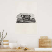 Sjabloon van 1800 Merino Sheep Ram Lamb Poster (Keuken)