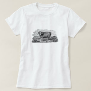  Sjabloon van 1800 Merino Sheep Ram Lamb T-shirt