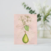  Sjabloon van 1800's perenbloesem bloem, collage  Briefkaart (Staand voorkant)