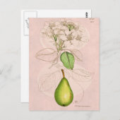  Sjabloon van 1800's perenbloesem bloem, collage  Briefkaart (Voorkant / Achterkant)