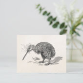  Sjabloon van Antiek vogelvogels Kiwi Briefkaart (Staand voorkant)
