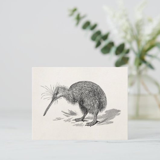  Sjabloon van Antiek vogelvogels Kiwi Briefkaart (Staand voorkant)