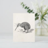  Sjabloon van Antiek vogelvogels Kiwi Briefkaart (Staand voorkant)
