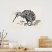 Sjabloon van Antiek vogelvogels Kiwi Poster (Keuken)