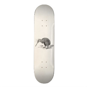 Sjabloon van Antiek vogelvogels Kiwi Skateboard