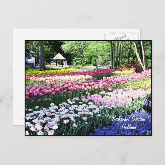 Sjabloon van briefkaarten, bloementuinen briefkaart (Voorkant / Achterkant)