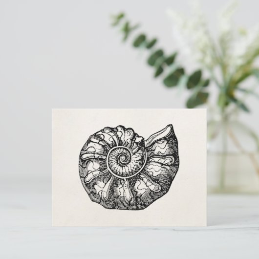 Sjabloon van de Ammonite Seashell Fossil Shell Briefkaart (Staand voorkant)