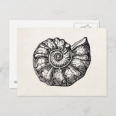 Sjabloon van de  Ammonite Seashell Fossil Shell Briefkaart (Voorkant / Achterkant)