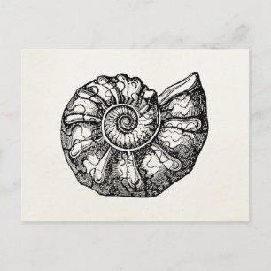 Sjabloon van de  Ammonite Seashell Fossil Shell Briefkaart