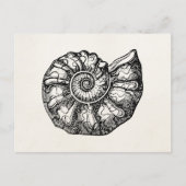 Sjabloon van de Ammonite Seashell Fossil Shell Briefkaart (Voorkant)