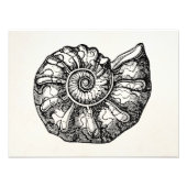 Sjabloon van de Ammonite Seashell Fossil Shell Foto Afdruk (Voorkant)