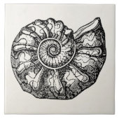 Sjabloon van de Ammonite Seashell Fossil Shell Tegeltje (Voorkant)