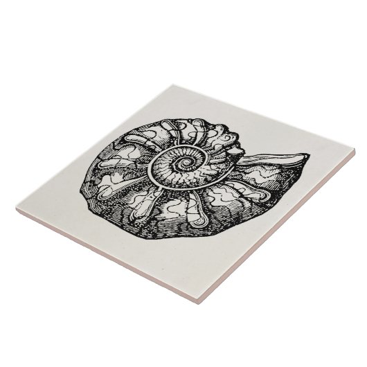 Sjabloon van de Ammonite Seashell Fossil Shell Tegeltje (Zijkant)