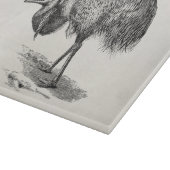  Sjabloon van de Australische vogelillustratie Emu Snijplank (Hoek)