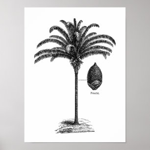 Sjabloon van de Braziliaanse palmboom Sepia Retro Poster