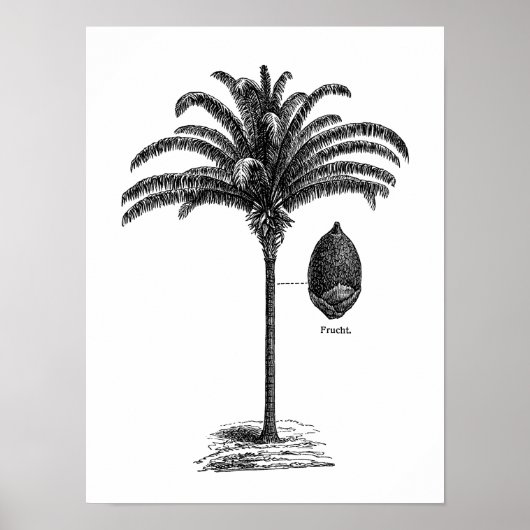 Sjabloon van de Braziliaanse palmboom Sepia Retro Poster (Voorkant)