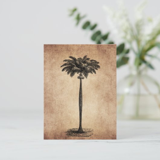 Sjabloon van de palmboom op het eiland Blank Briefkaart (Staand voorkant)