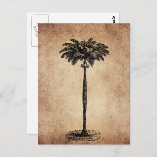  Sjabloon van de palmboom op het eiland Blank Briefkaart (Voorkant / Achterkant)