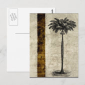 Sjabloon van de palmboom op het eiland Blank Briefkaart (Voorkant / Achterkant)