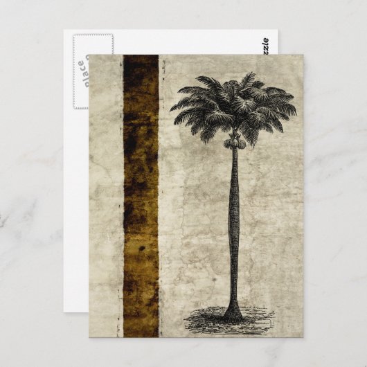 Sjabloon van de palmboom op het eiland Blank Briefkaart (Voorkant / Achterkant)