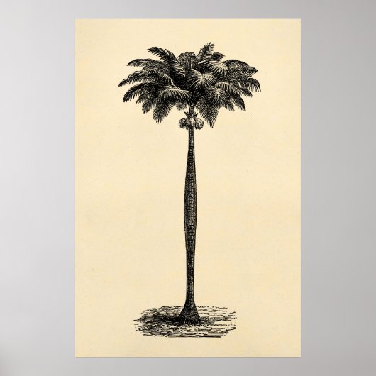  Sjabloon van de palmboom op het eiland Blank Poster (Voorkant)