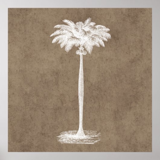  Sjabloon van de palmboom op het eiland Blank Poster (Voorkant)