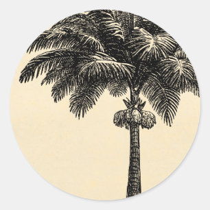  Sjabloon van de palmboom op tropische eilanden bl Ronde Sticker