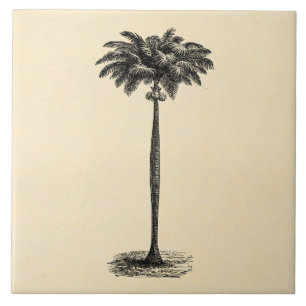  Sjabloon van de palmboom op tropische eilanden bl Tegeltje