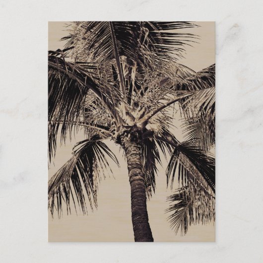 Sjabloon van de  Sepia Retro Hawaiian palm Briefkaart (Voorkant)