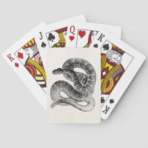 Sjabloon van de Slang van de vintage Ratelslang de Pokerkaarten