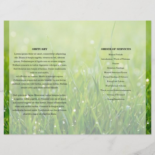 Sjabloon van het groene natuur-programma (Achterkant)