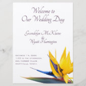 Sjabloon van het paradijselijke programma voor het (Voorkant)