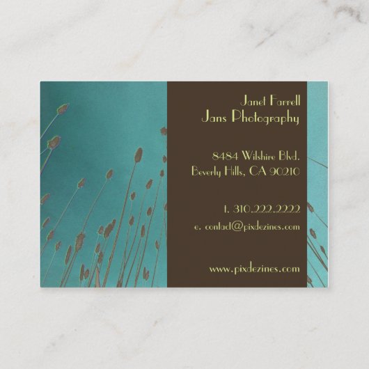 Sjabloon van zakenkaarten, tarwegras visitekaartje (Achterkant)