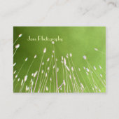Sjabloon van zakenkaarten, tarwegras visitekaartje (Voorkant)
