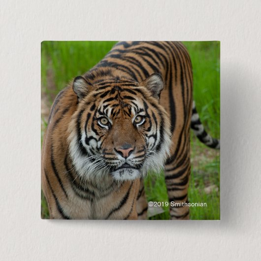 sjabloon vierkante button 5,1 cm (Voorkant)