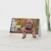 Sjabloon voor Cute Brown Puppy (Voorkant)