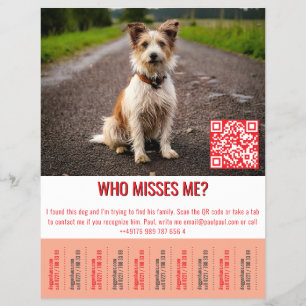 Sjabloon voor gevonden hond tik flyer