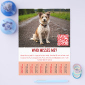Sjabloon voor gevonden hond tik  flyer (Enkel)