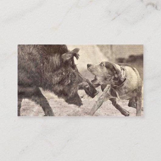 SJABLOON VOOR HET VANGEN EN UITROEIEN VAN VARKENSV VISITEKAARTJE (Achterkant)