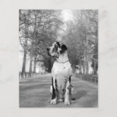 sjabloon voor honden afdrukbaar flyer (Achterkant)