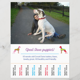 sjabloon voor honden afdrukbaar flyer