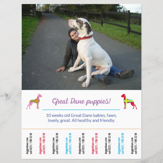 sjabloon voor honden afdrukbaar flyer (Voorkant)